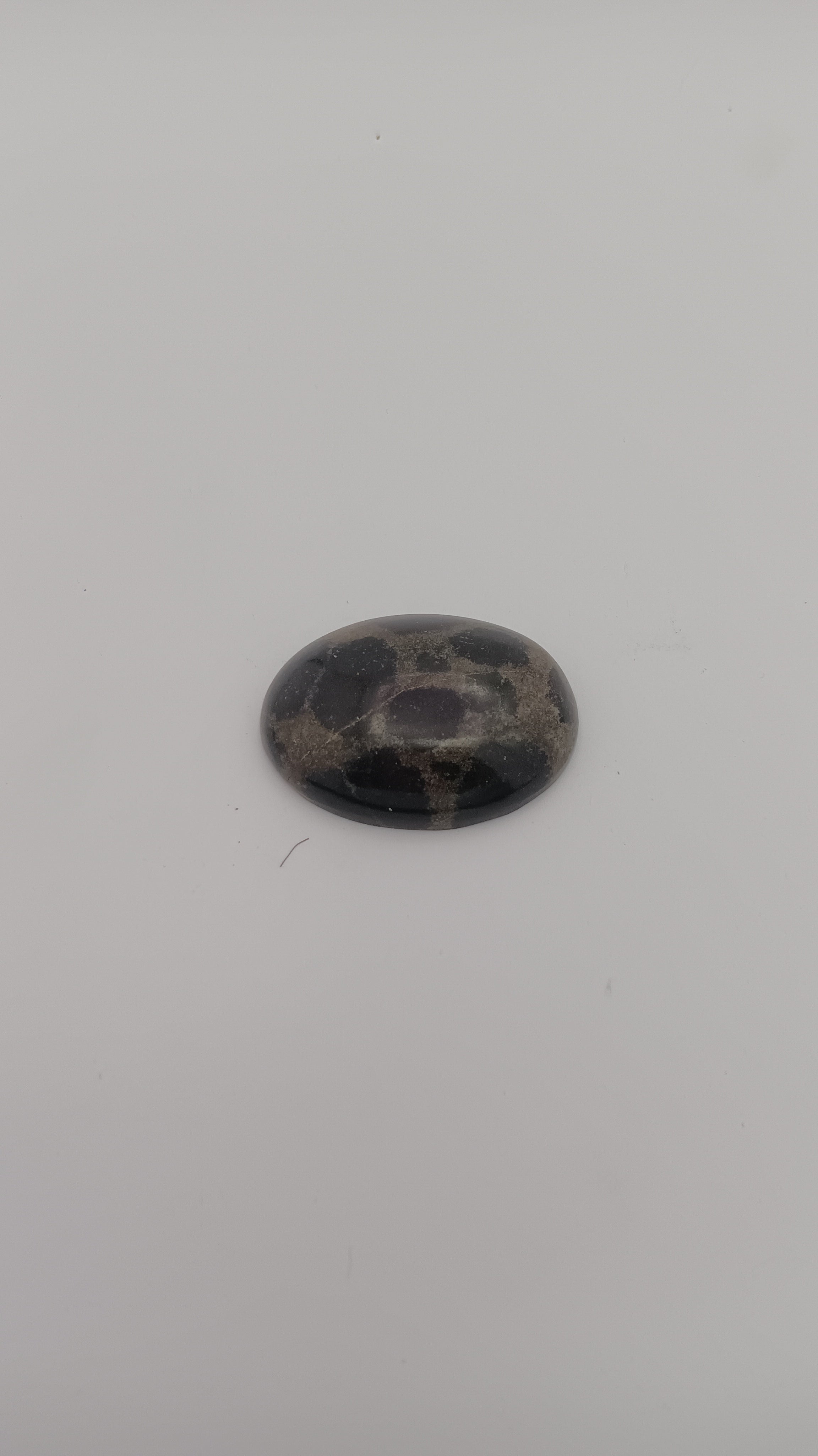 Dalmatian jasper oval side view showing black white spotted pattern by Jones Stones USA