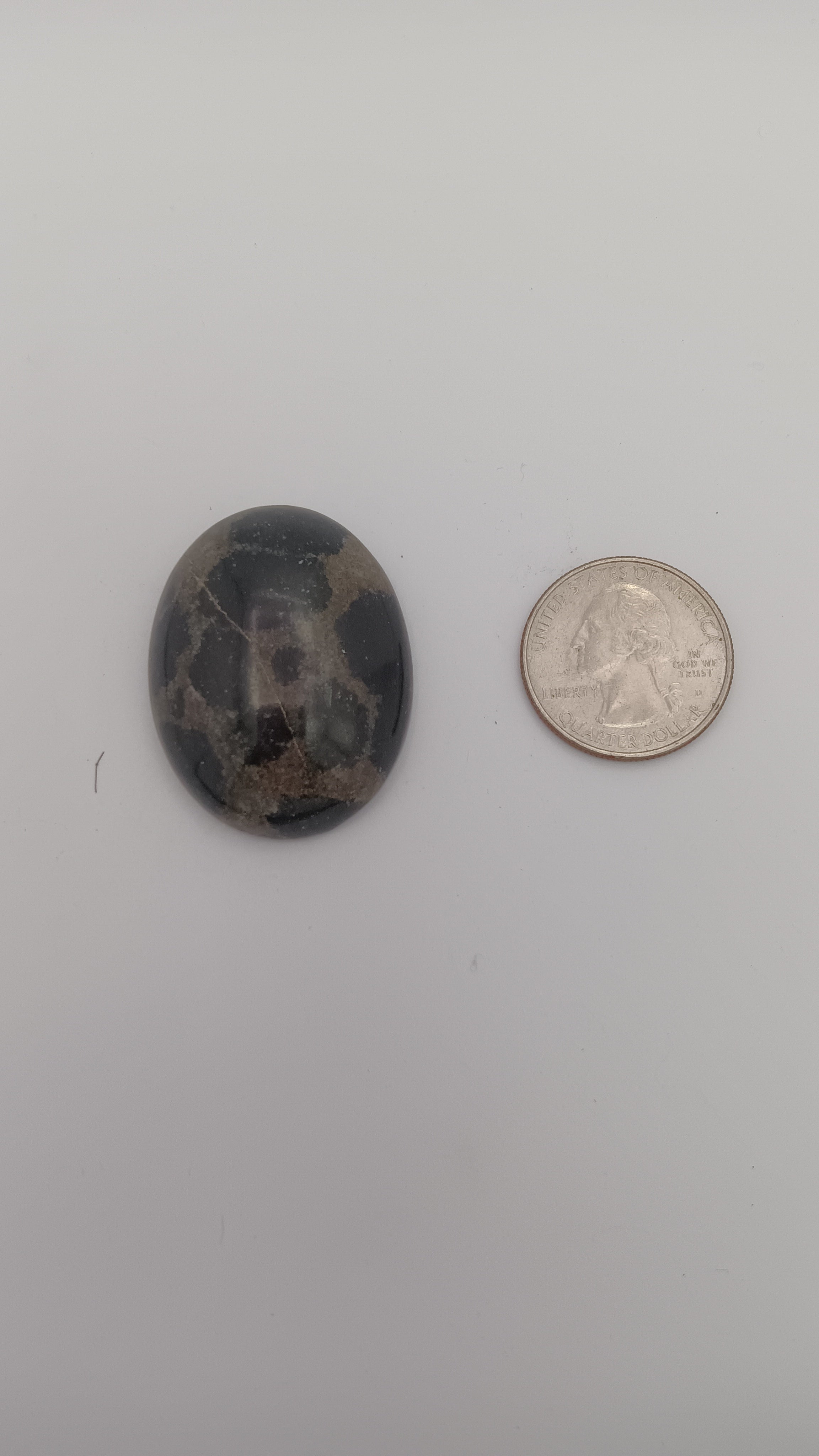 Dalmatian jasper oval 16mm black white spotted pattern size comparison with coin by Jones Stones USA