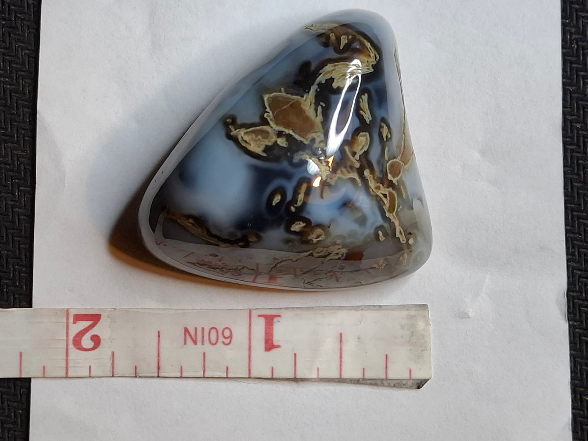 Thunderegg Agate Freeform — Irv's Rock & Jewelry — Pirate's Cove