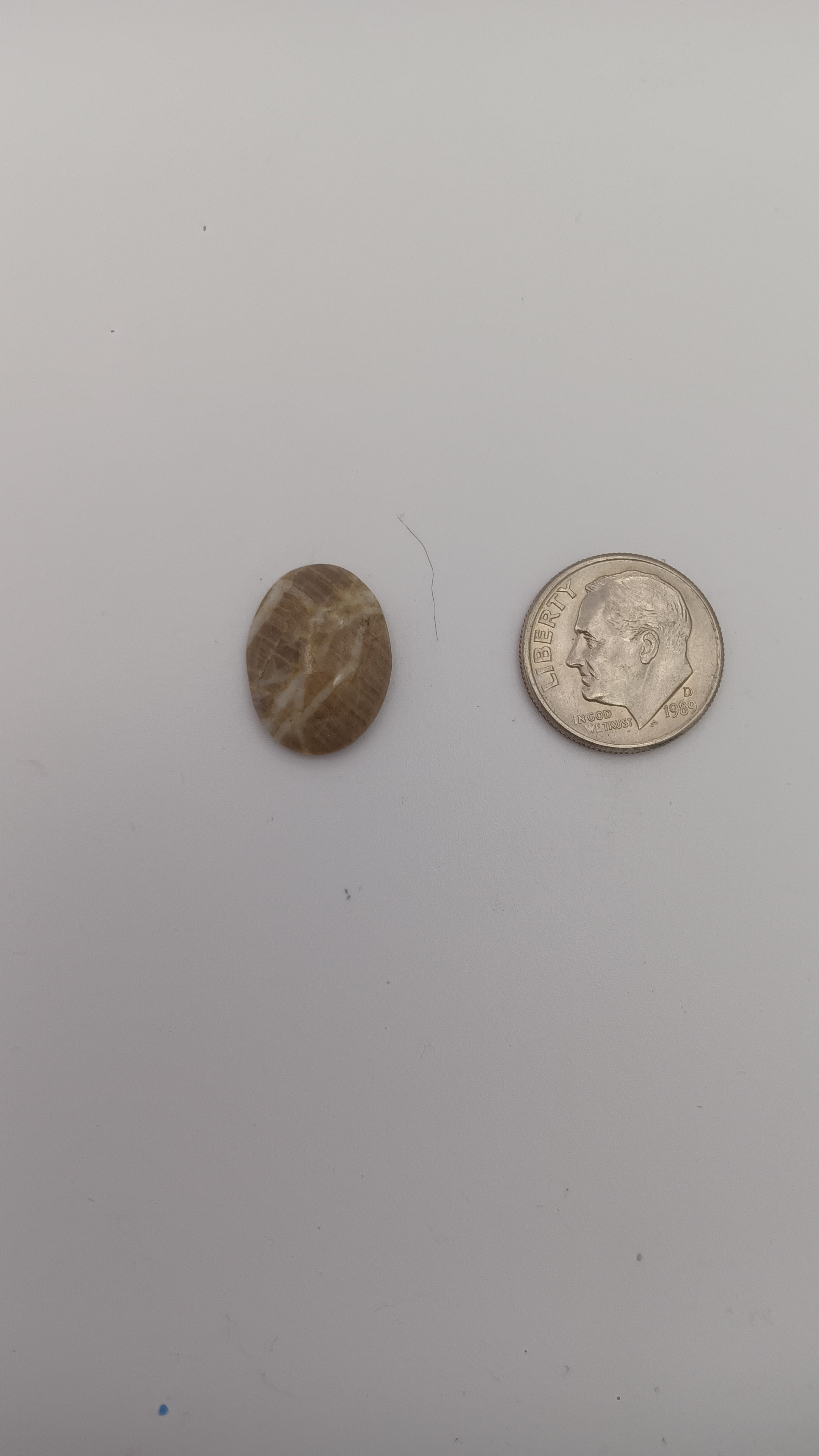 Tan woodgrain iron stone oval cabochon with quartz 16mm - handcrafted loose gemstone by Jones Stones USA
